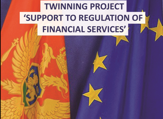 tvining projekat