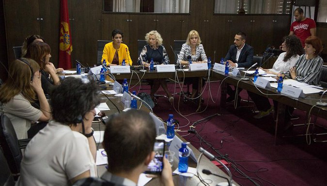 Istopolno partnerstvo rasprava