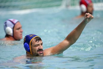 Darko Brguljan