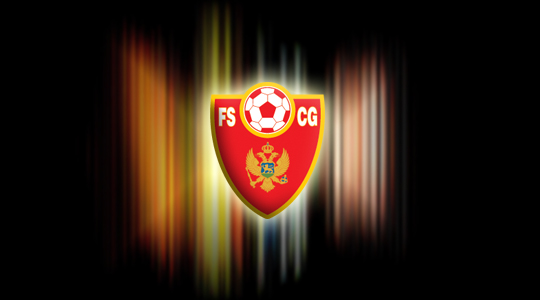 FSCG logo