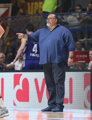 džikić