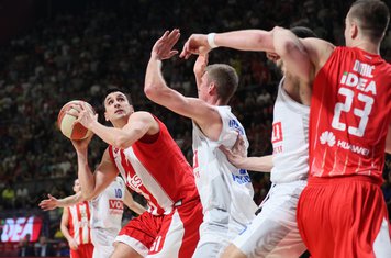 crvena zvezda budućnost
