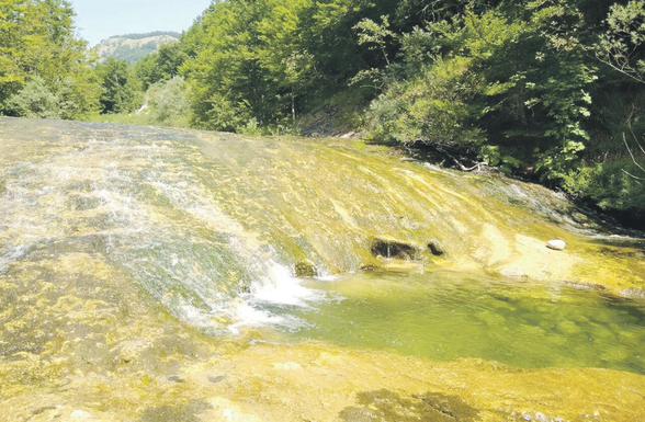 Bukovica