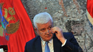 Godišnjica Vlade, Duško Marković
