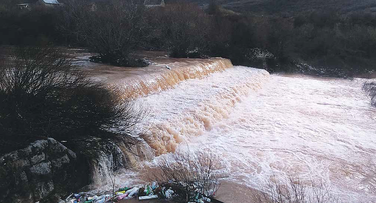 Gračanica