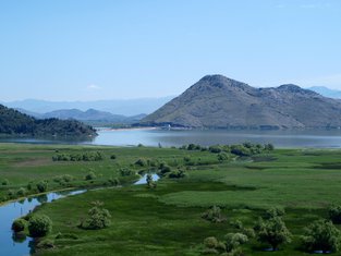 Skadarsko jezero