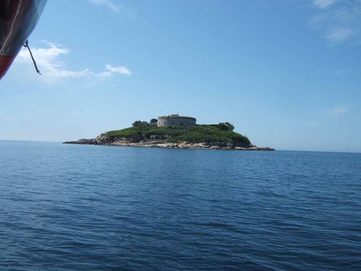 mamula
