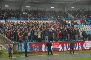 Čelik