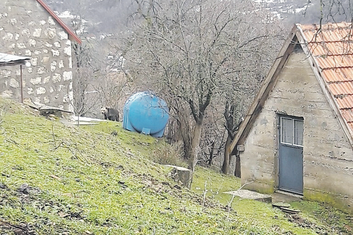 Medvjed Piva