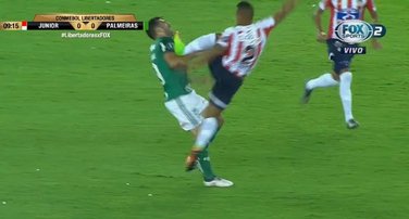 kung fu fudbal