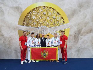 Džiu-džicu