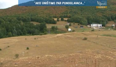 Bukovica
