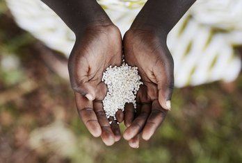 Afrika, glad