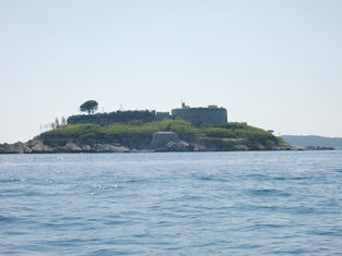 Mamula