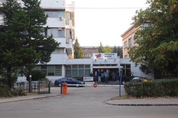 Toščelik