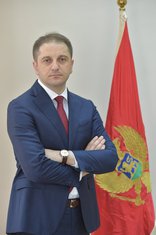 Damir Šehović