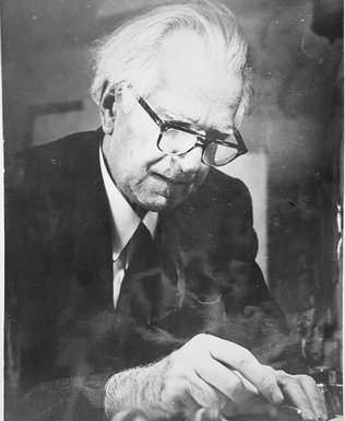 Dušan Matić (novina)