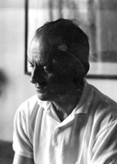 Radovan Zogović (novina)