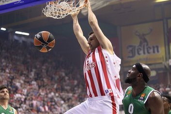 bjelica