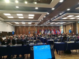 ICZM Tirana