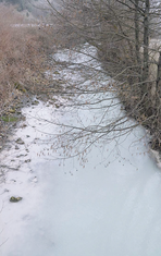 Vezišnica