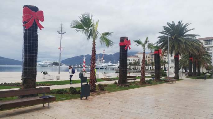 tivatska riva, palme