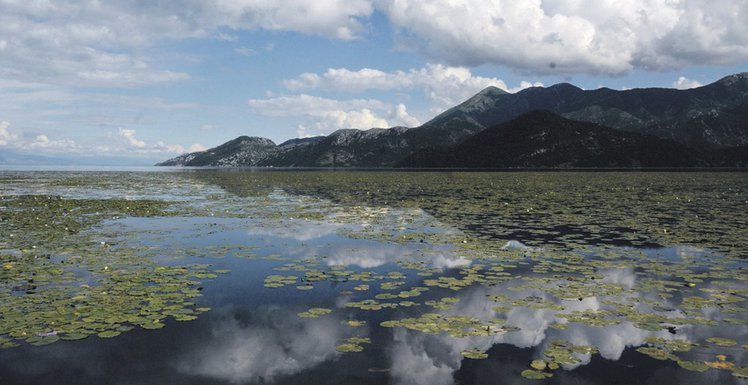 Skadarsko jezero