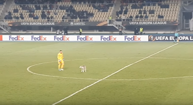 Vardar Rozenborg pas