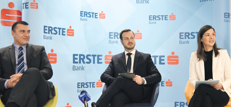 Erste konferencija