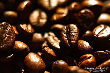 kafa Negro