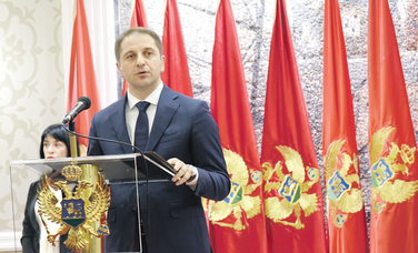 Damir Šehović