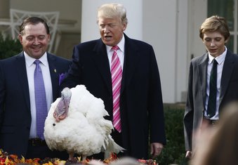 Donald Tramp, ćurka