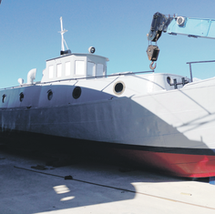 Brod Barbara (novine)