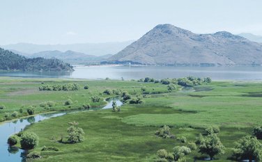Skadarsko jezero