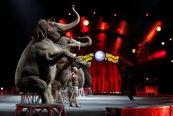 cirkus Ringling Bros