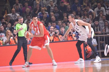 Bjelica