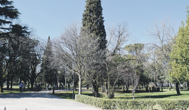 Njegošev park