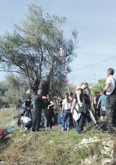 Maslinjaci (novine)