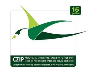CZIP