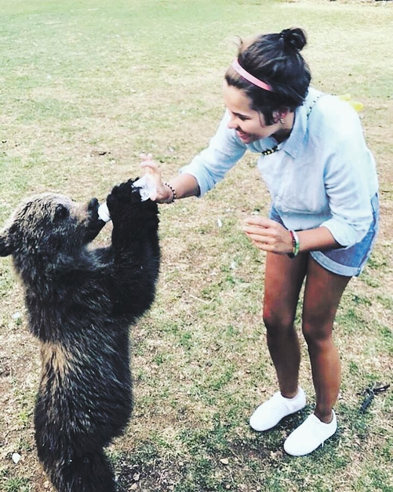 mrki medvjed mini zoo vrt
