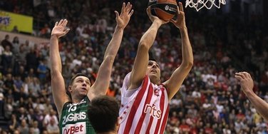Bjelica