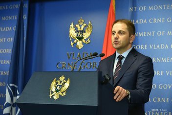 Damir Šehović