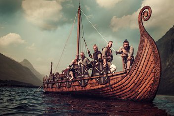 Vikinzi, Viking