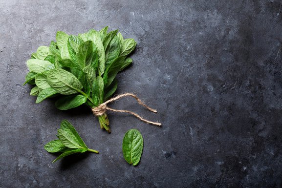 menta