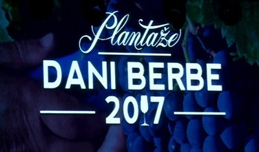 Plantaže Dani berbe