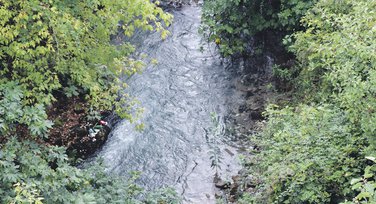 Ribnica