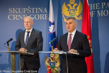 Milan Brglez, Ivan Brajović