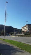 Meljine