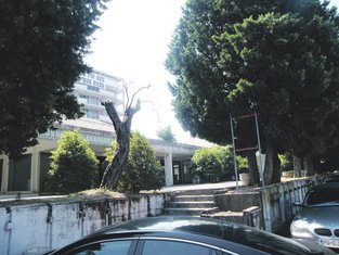 centar, Pržno