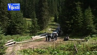drvoprerađivači